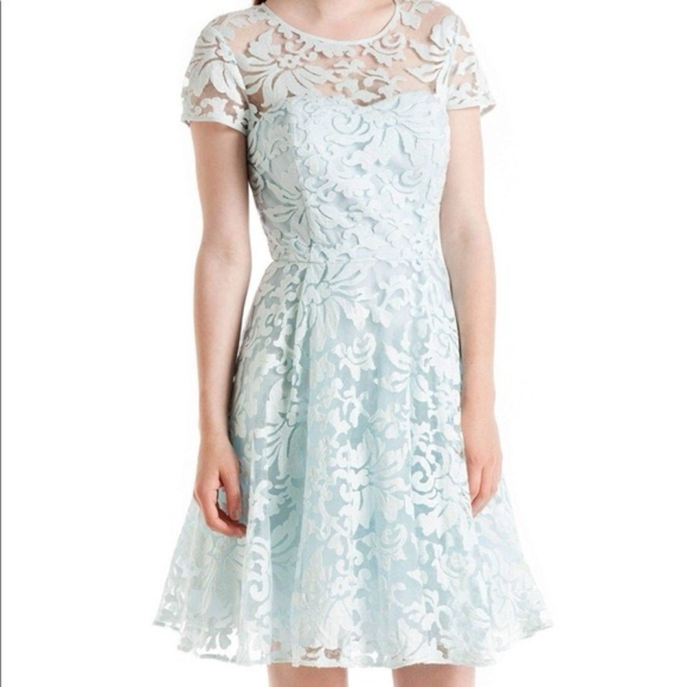 Ted Baker London Blue Lace A-line Mini Dress